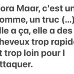 'Dora Maar elle a des cheveux trop rapides et trop loin pour l'attaquer.'