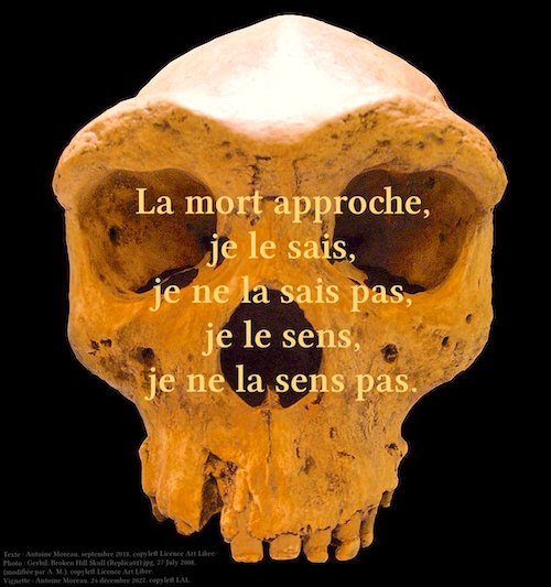 La mort approche