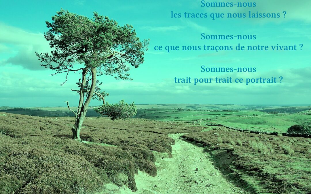 Sommes-nous