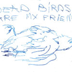 Dead birds are my friends