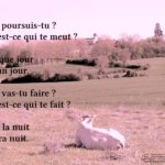 Que poursuis-tu ?